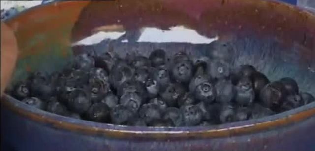 Sweet weekend: Bethlehem's Blueberry Festival